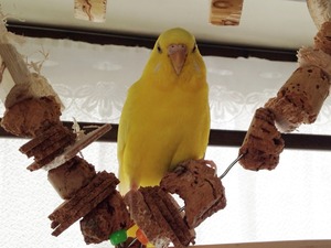 IMG_0068