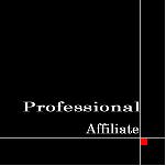 professional���ե��ꥨ����