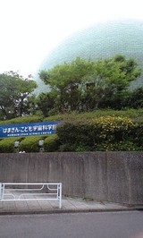 5343dae8.jpg