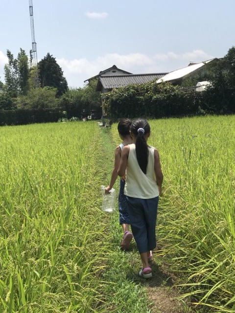 シミキョウ合宿03