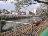 hana1