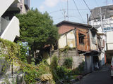 arbre_et_maison_vieille