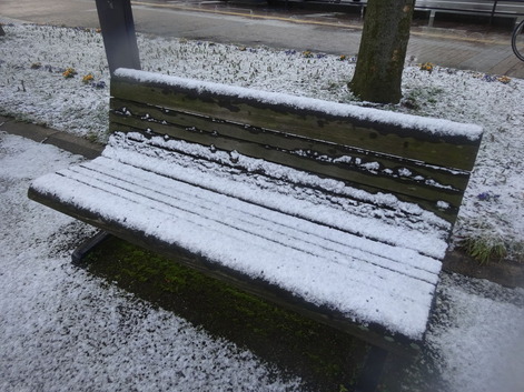 富山ベンチ雪