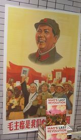 mao_harvard