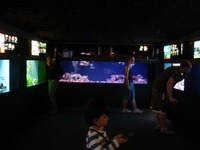ワイキキ水族館
