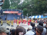 ��11������褵����
