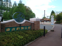����ưʪ����