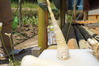 DSC02044
