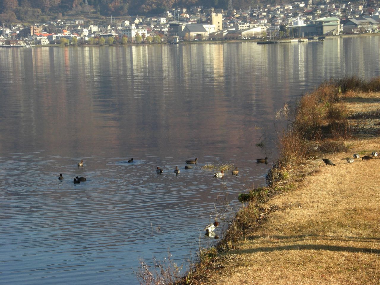 CIMG0473