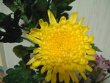 3080eb79.jpg