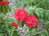 34b67e47.jpg