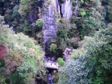 CIMG0207