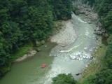 51fcf385.jpg