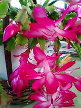200811301401