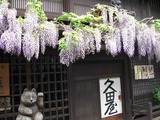 CIMG0087