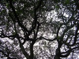 CIMG0117