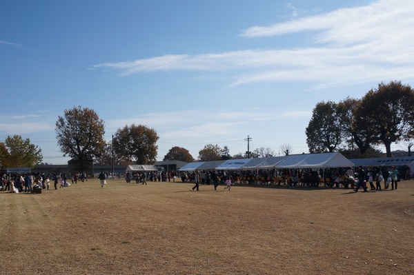 DSC00738 (2)