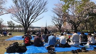 IMG_5454