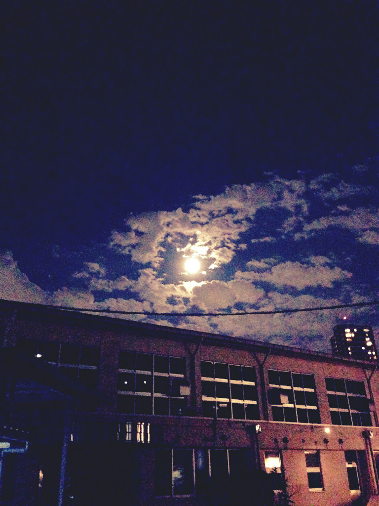 62f9322a.jpg