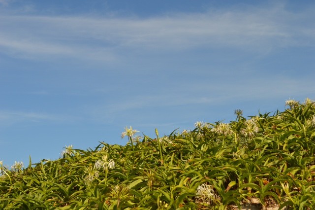 b01f57a4.jpg