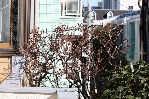 s-IMG_1588