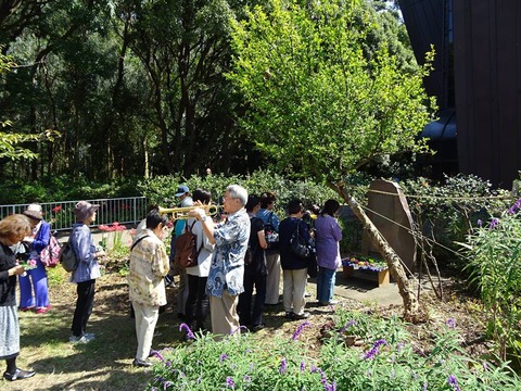 12003359_824235107689311_4756120249005912620_n