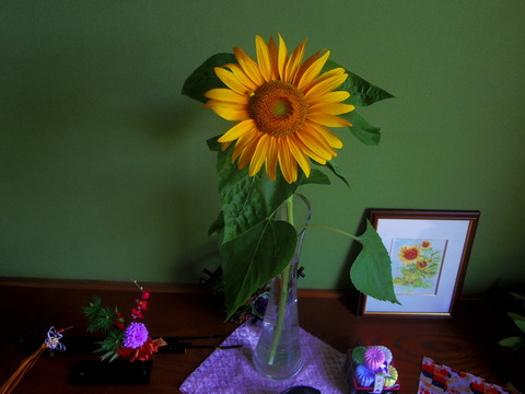 IMGP3106