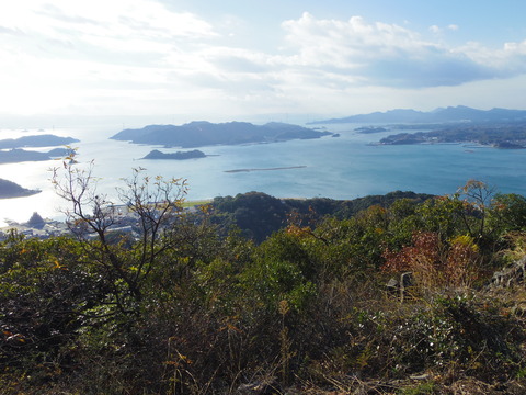 IMGP6493