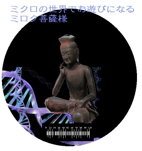 ミクロ菩薩?(チャンクの暴走14) : ニヤッとする話