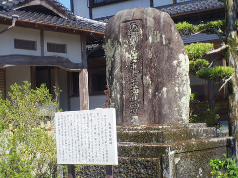 IMGP9550