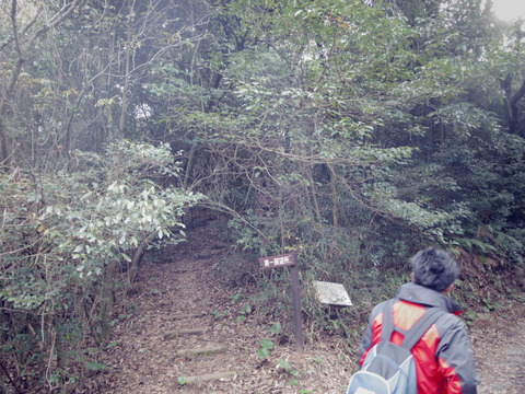 IMGP6536