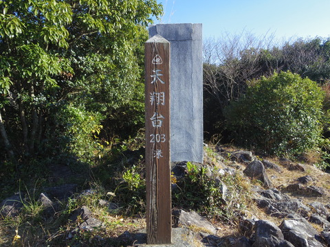 IMGP6510