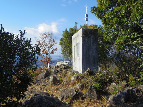 IMGP6488