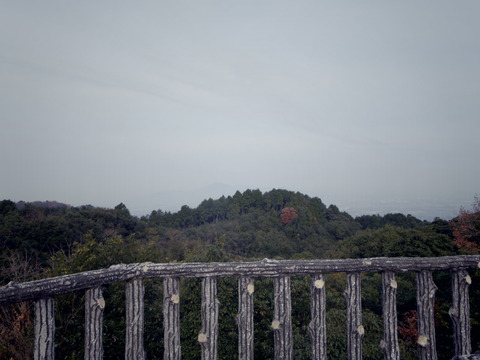 IMGP6539