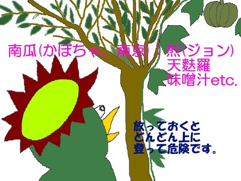 高いところの南瓜