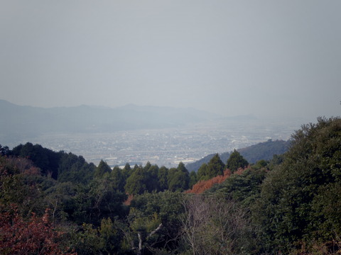 IMGP6549