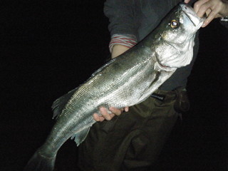 DSCF0391