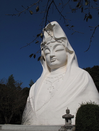 kannon8