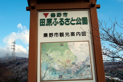 furu