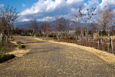 kana3