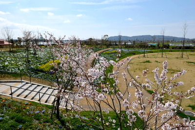 kana51