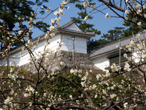 castle2
