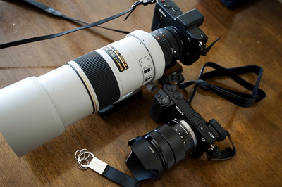 camera7
