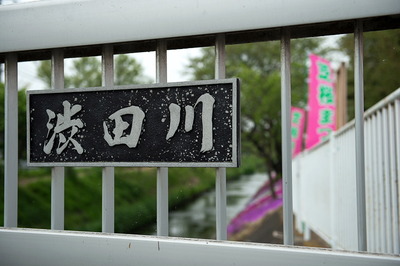 shibutagawa 0