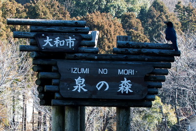 karasu