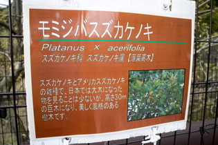¿ÁÌî¸ÍÀî¸ø±à14