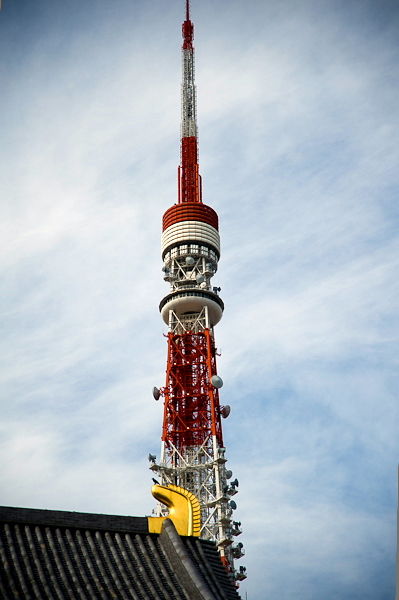 T8