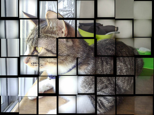 ÈþÅͤ¯¤ó02
