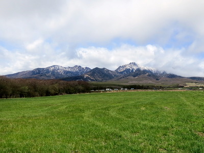 sight4