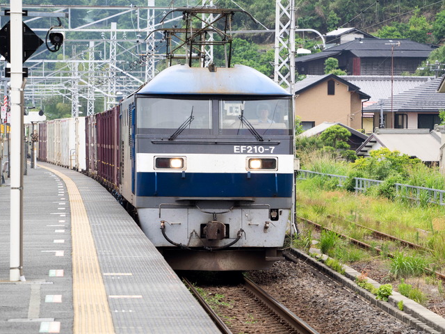 EF210-7²ßʪ3